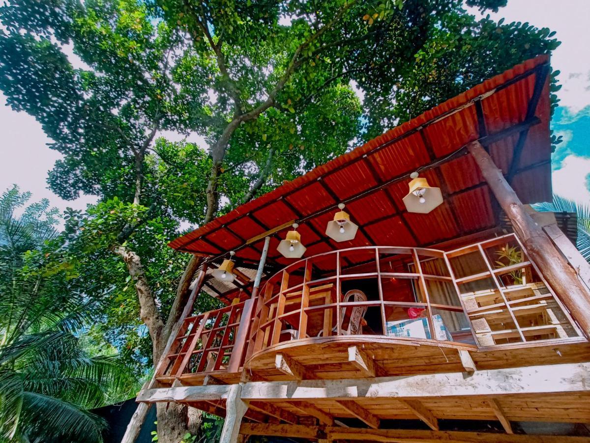 Experience The Comforts Of An Amazing Treehouse Sigiriya Eksteriør billede