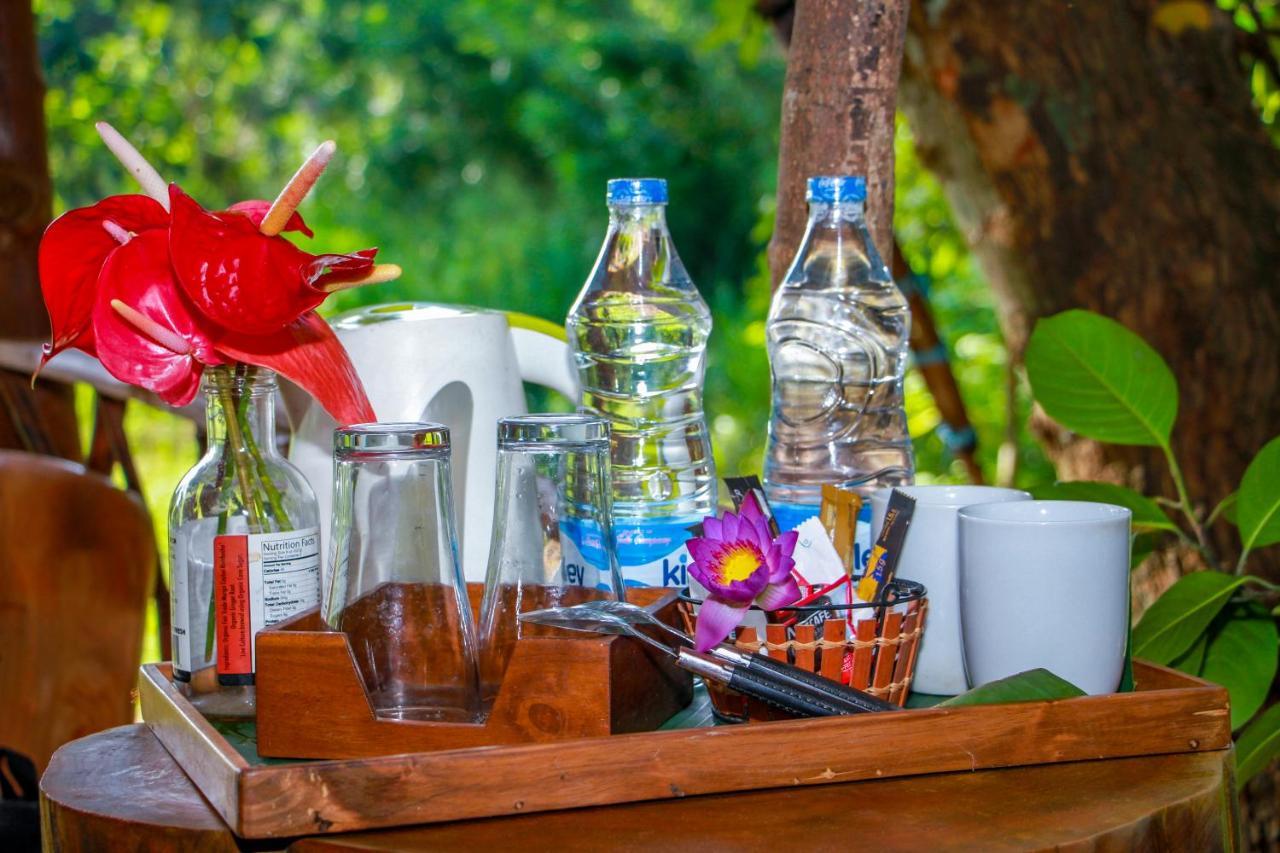 Experience The Comforts Of An Amazing Treehouse Sigiriya Eksteriør billede