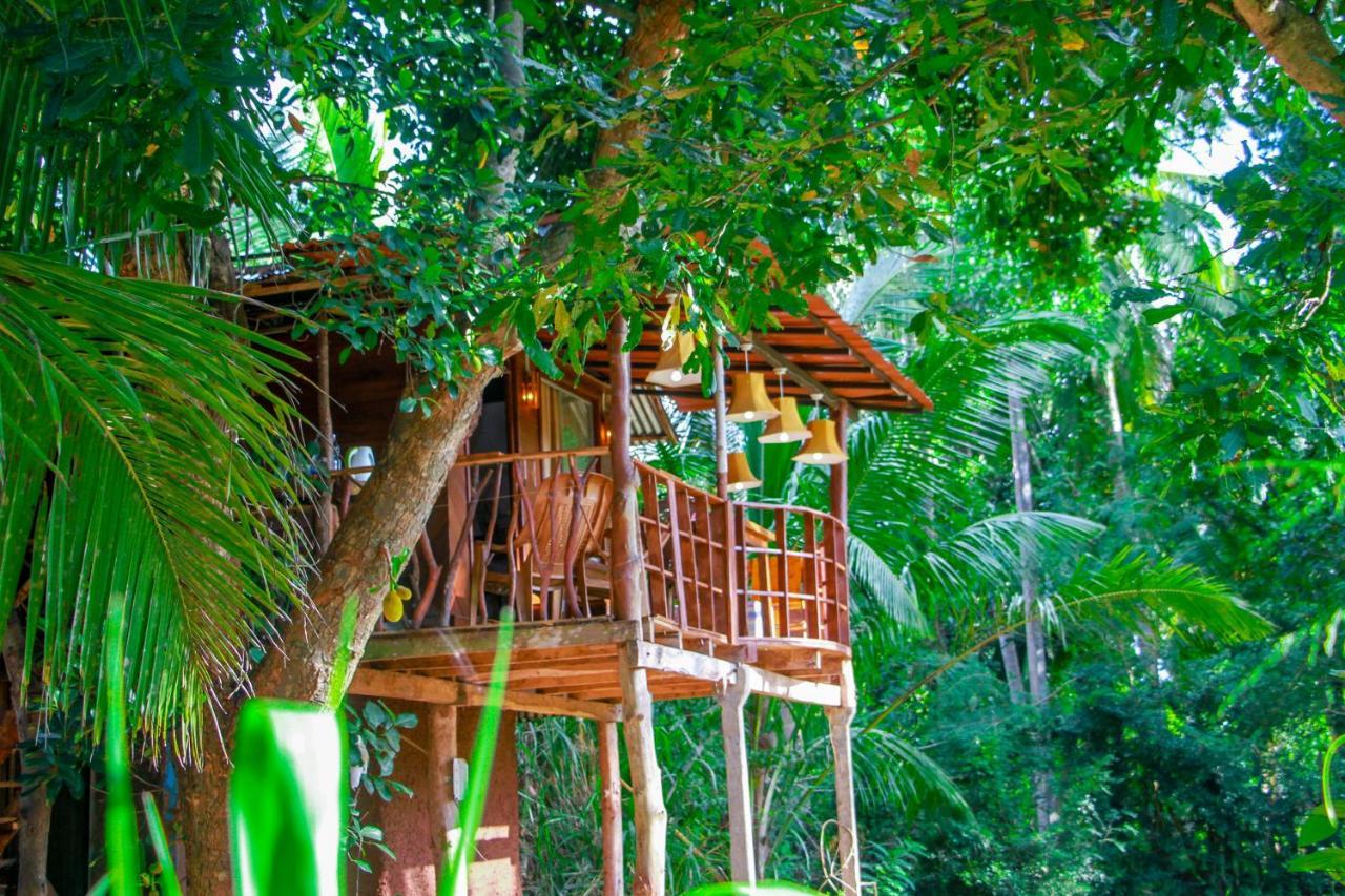 Experience The Comforts Of An Amazing Treehouse Sigiriya Eksteriør billede
